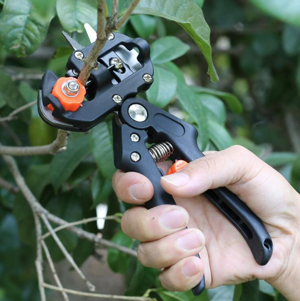 REDUCERE: Cleste Profesional Pentru Altoit Pomi, Cu 3 Lame + Banda Pentru Altoit CADOU