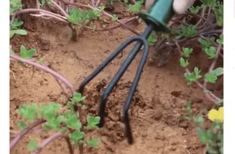 Set De 4 Instrumente Pentru Gradinarit, Doua Mini Lopeti, Un Mini Cultivator Si Un Dispozitiv Pentru Gaurit, Metal