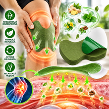 Set 10+10 GRATIS :  Plasturi cu Extract de Pelin pentru Dureri de Genunchi, Articulații și Reumatism