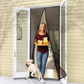 1+1 GRATIS - Plasa Pentru Usa, Impotriva Insectelor, Cu Magnet, Dimensiune 210 x 100 cm