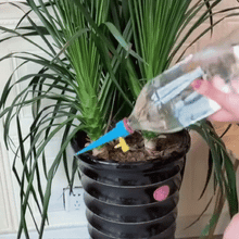 24+12 GRATIS: Sistem Automat de Udare a Plantelor prin Picurare