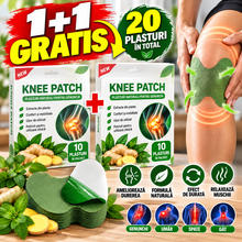 Set 10+10 GRATIS :  Plasturi cu Extract de Pelin pentru Dureri de Genunchi, Articulații și Reumatism
